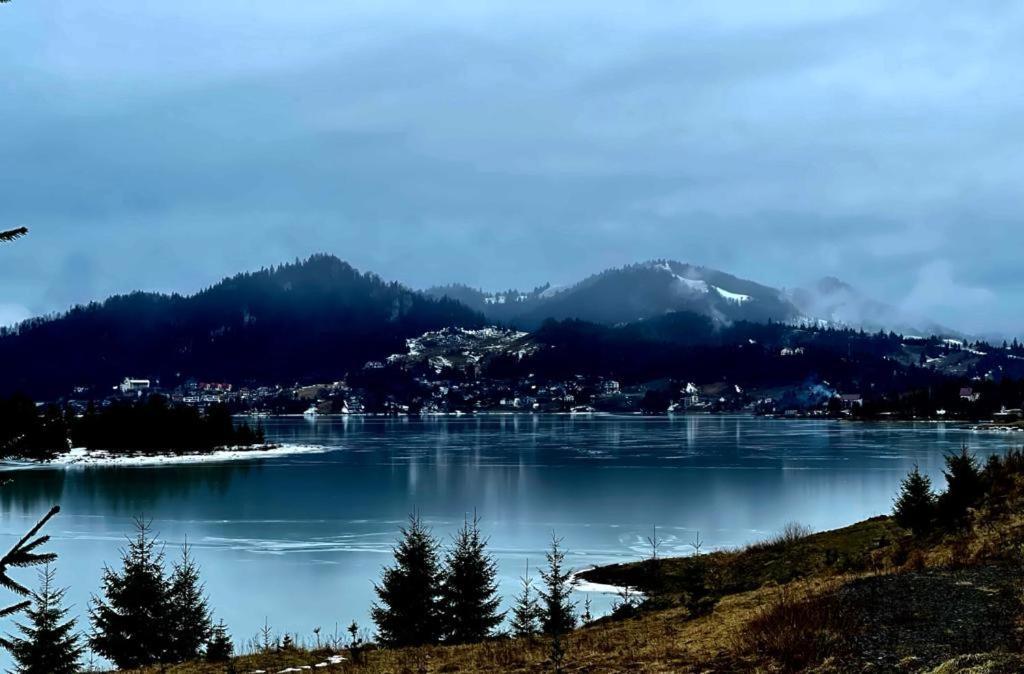 Chalet Du Lac Colibiţa Εξωτερικό φωτογραφία